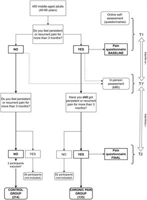 Brain system segregation and pain catastrophizing in chronic pain progression